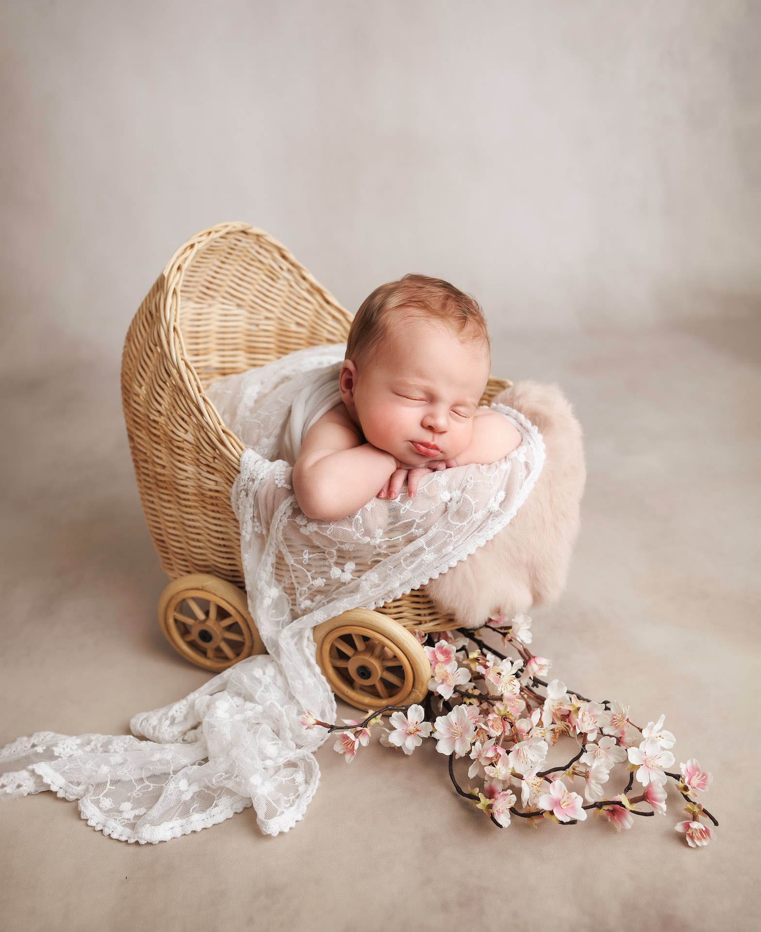 Photographe nouveau né Marne