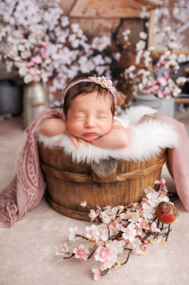 Séance nouveau-né [Reims/Marne/studio] - Gwen Photographie