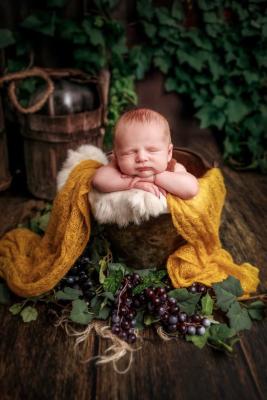 Séance nouveau-né [Reims/Marne/studio] - Gwen Photographie