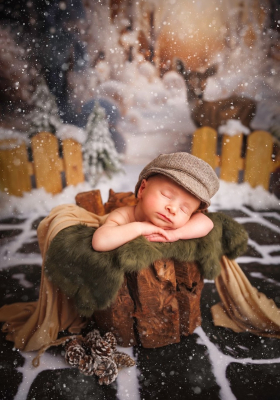 Séance nouveau-né [Reims/Marne/studio] - Gwen Photographie