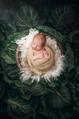 Séance nouveau-né [Reims/Marne/studio] - Gwen Photographie
