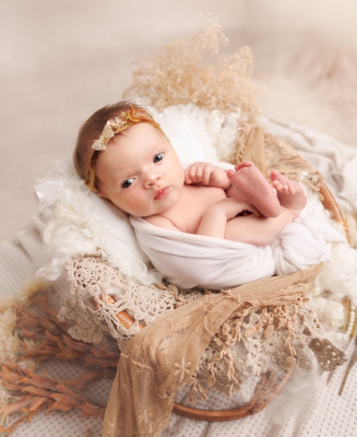 Séance nouveau-né [Reims/Marne/studio] - Gwen Photographie
