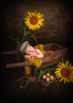 Séance nouveau-né [Reims/Marne/studio] - Gwen Photographie