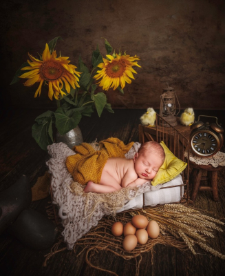 Séance nouveau-né [Reims/Marne/studio] - Gwen Photographie