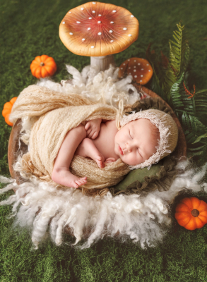 Séance nouveau-né [Reims/Marne/studio] - Gwen Photographie
