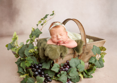 Séance nouveau-né [Reims/Marne/studio] - Gwen Photographie