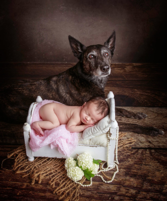 Séance nouveau-né [Reims/Marne/studio] - Gwen Photographie