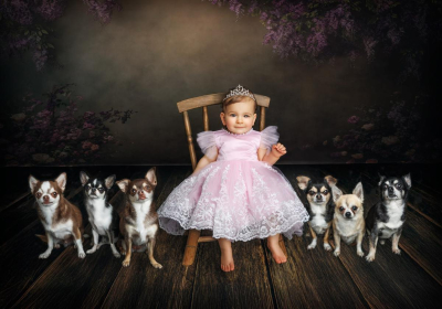 Portrait enfant en studio - Gwen Photographie Heiltz-le-Hutier